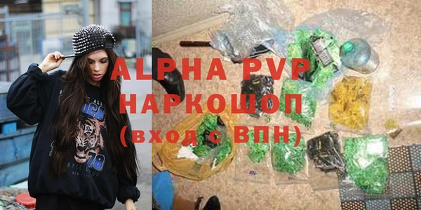 гидра Абаза