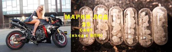 гидра Абаза